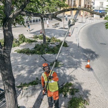 Stanghækkeklipper batteri