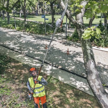 Stanghækkeklipper benzin