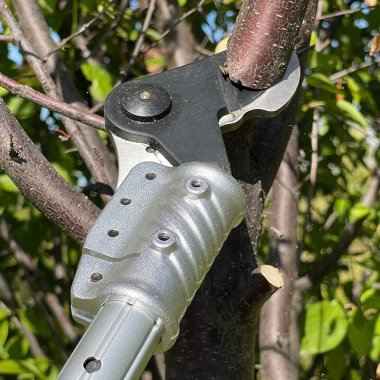 Stangsakse - Stangsave