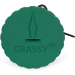 Grassy - Grn