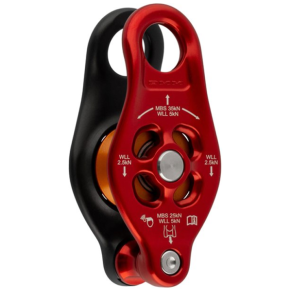 DMM-rebskive pinto 2