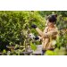 Stihl ASA 20 beskresaks batteri