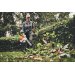 Stihl BGA 250 lvblser batteri