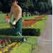 Stihl HL-KM hkkeklipper til KombiSystem - 60 cm