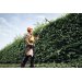 Stihl HLA 150 stangh�kkeklipper batteri