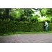 Stihl HSA 50 hkkeklipper batteri