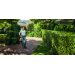Stihl HSA 50 hkkeklipper batteri