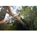 Stihl HTA 50 Teleskopsav inkl. batteri og lader