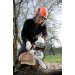 Stihl MS 211 C-BE med savkden duro 3