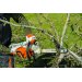 Stihl MSA 220 C-B motorsav med 2 x AP 300S