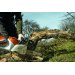 Stihl MSA 220 C-B motorsav med 2 x AP 300S