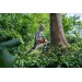 Stihl MSA 600 C-O W motorsav - AP-System